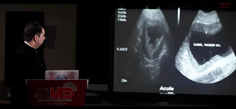 KUB Ultrasound Training Course: Kidney, Prostate, Bladder