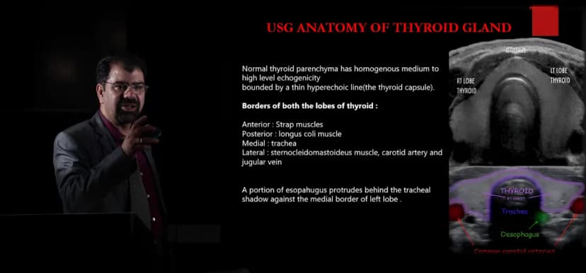 Small Parts Ultrasound Training: Thyroid & Scrotum Imaging