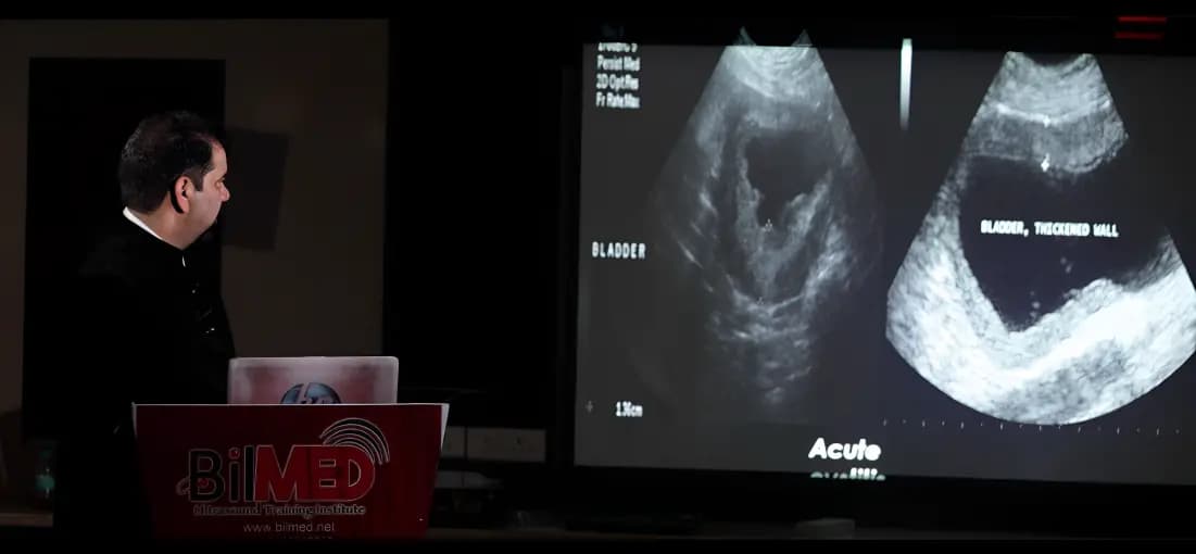 KUB Ultrasound Training Course: Kidney, Prostate, Bladder